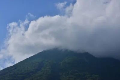 DSC_3975 (Large).JPG